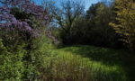 Jardin ruisseau2