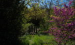 Petit pont 2
