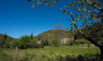 maison cerisier1