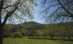 paysage devant ouest