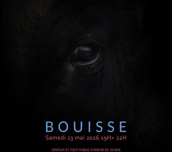 Sortie : RUMINE LA NUIT, PERFORMANCE ITINÉRANTE à Bouisse